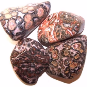 Pakke med 24 L Tromlede Stener - Leopardskinn Jasper L