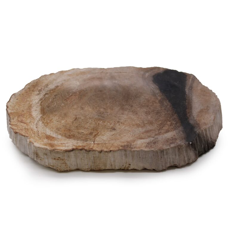 Petrified-Wood-Black-Soap-Dish