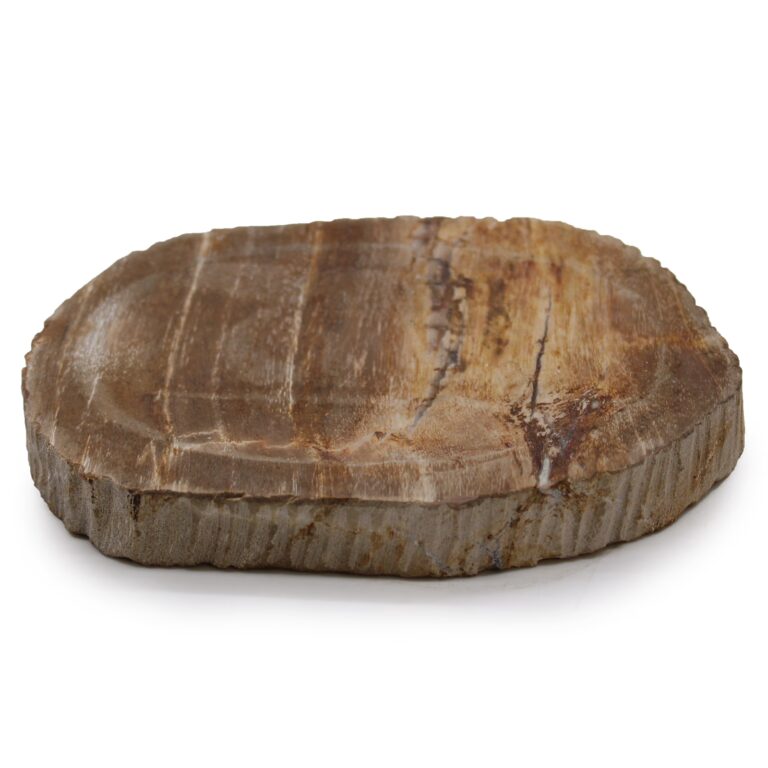 Petrified-Wood-Brown-Soap-Dish