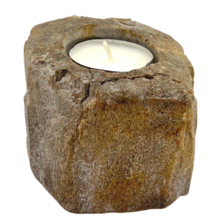 Petrified-Wood-Candle-Holder-Single-Low