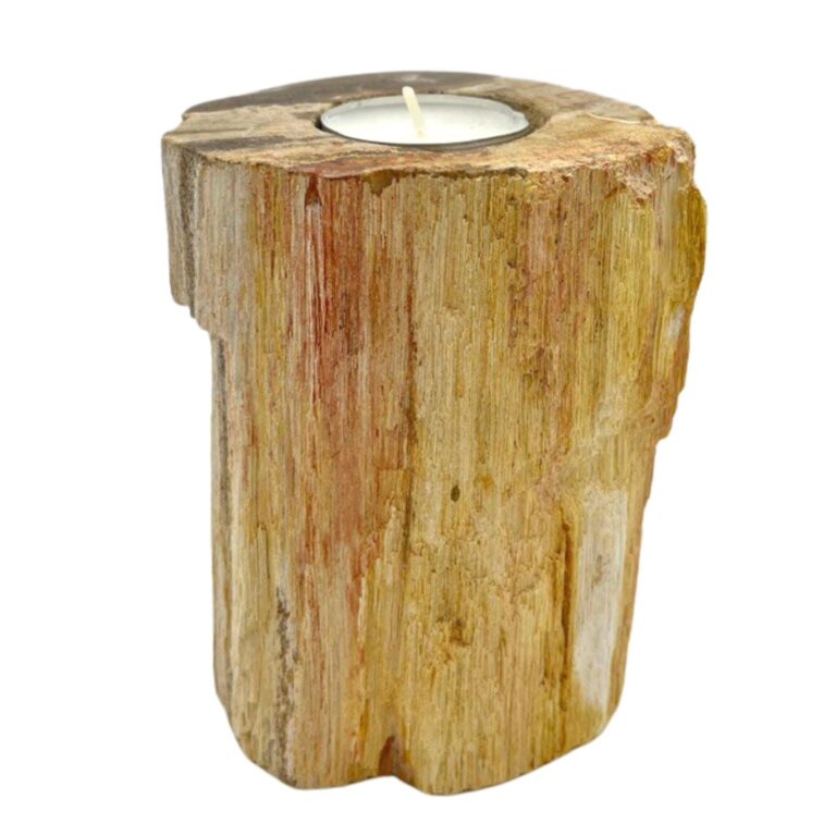 Petrified-Wood-Candle-Holder-Single-Tall