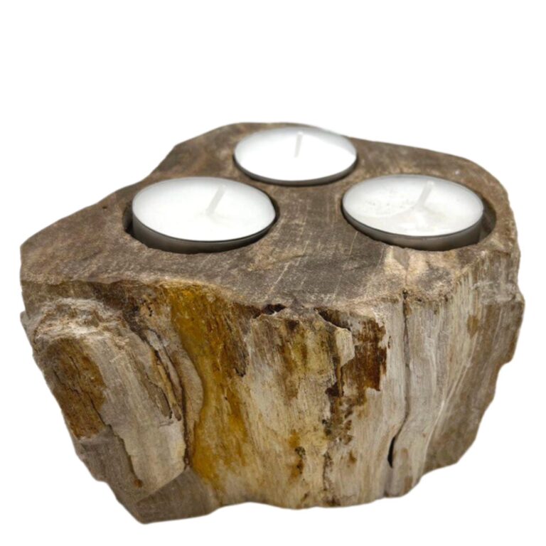 Petrified-Wood-Candle-Holder-Triple