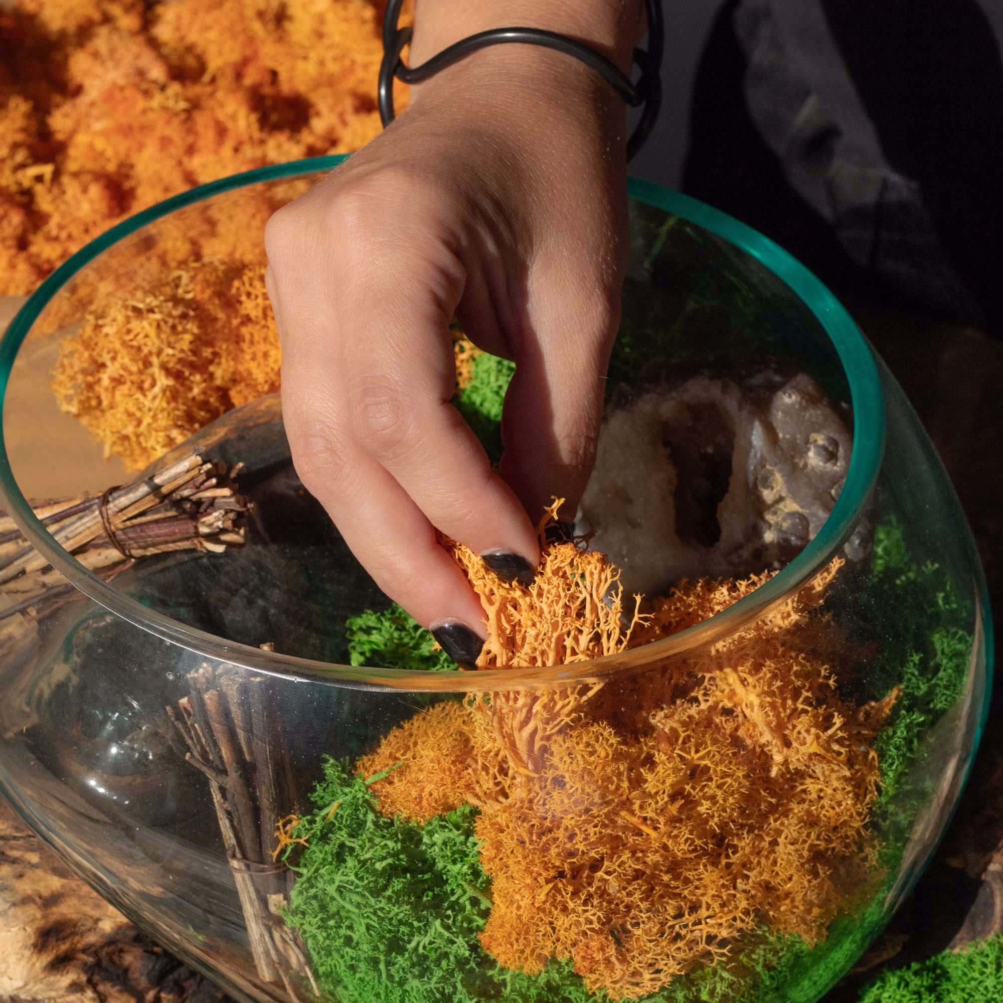Quality-Decoration-Reindeer-Moss-Black-635g-Box