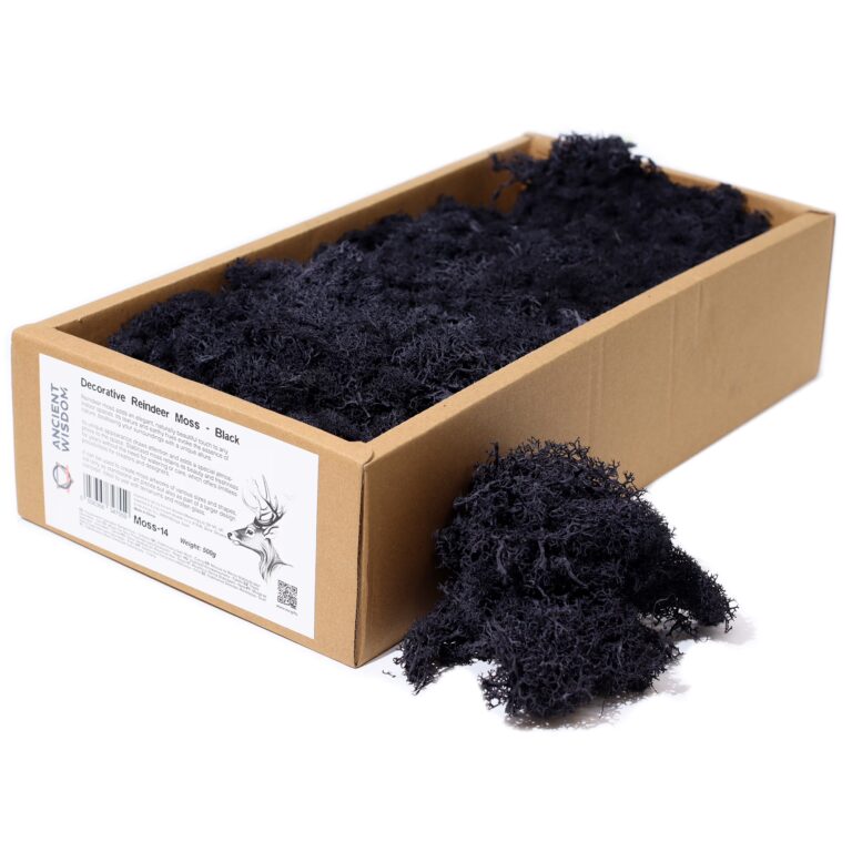 Quality-Decoration-Reindeer-Moss-Black-635g-Box
