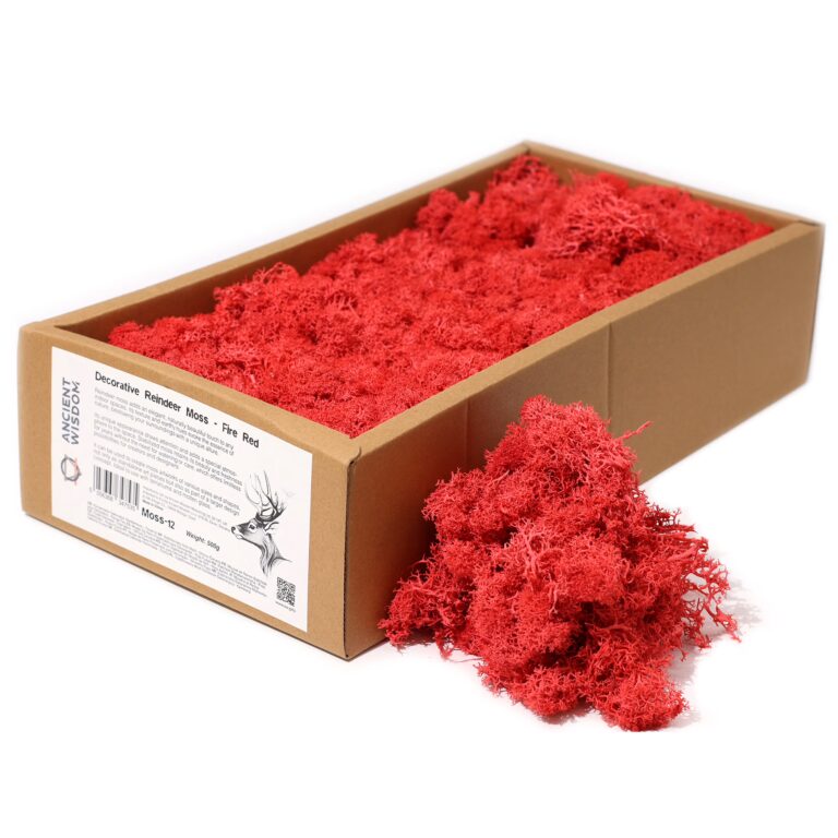 Quality-Decoration-Reindeer-Moss-Fire-Red-635g-Box