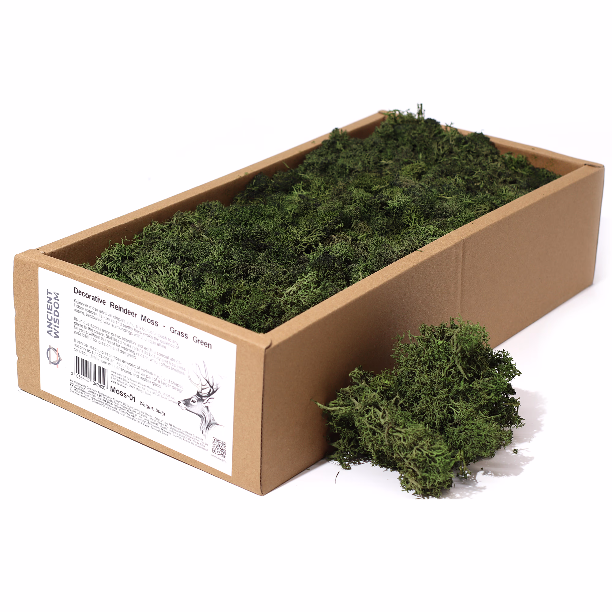 Quality-Decoration-Reindeer-Moss-Grass-Green-635g-Box
