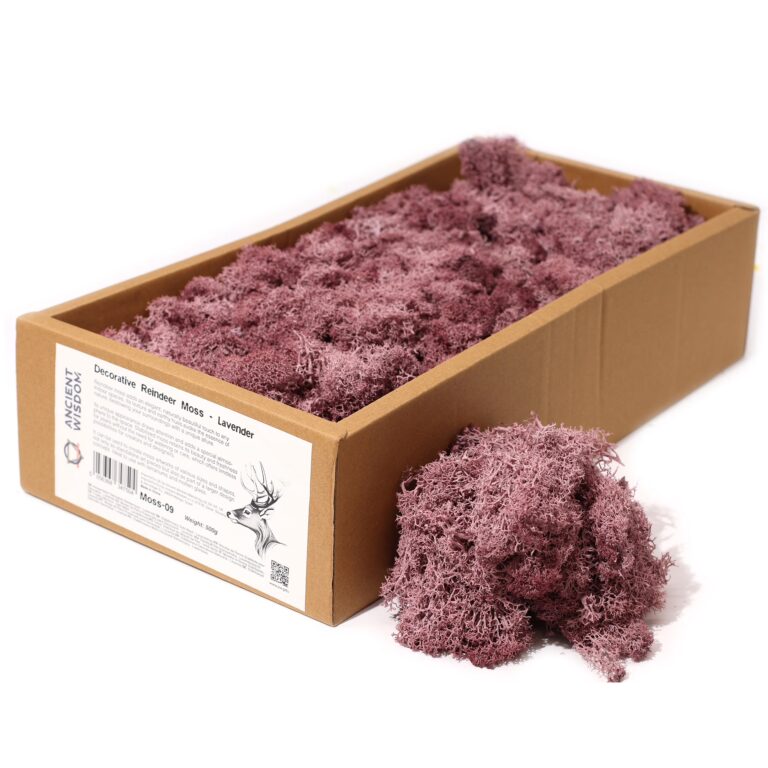 Quality-Decoration-Reindeer-Moss-Lavender-635g-Box