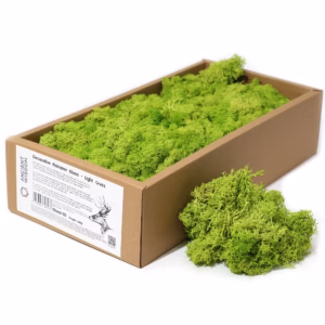 Hochwertiges Dekoration Islandermoos - Helles Gras - 635g Box