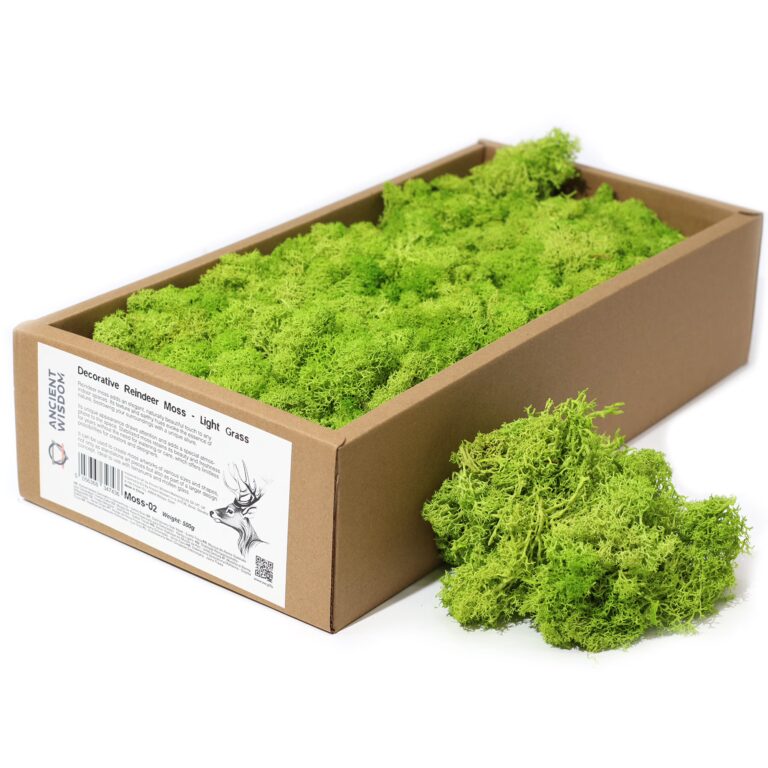 Quality-Decoration-Reindeer-Moss-Light-Grass-635g-Box