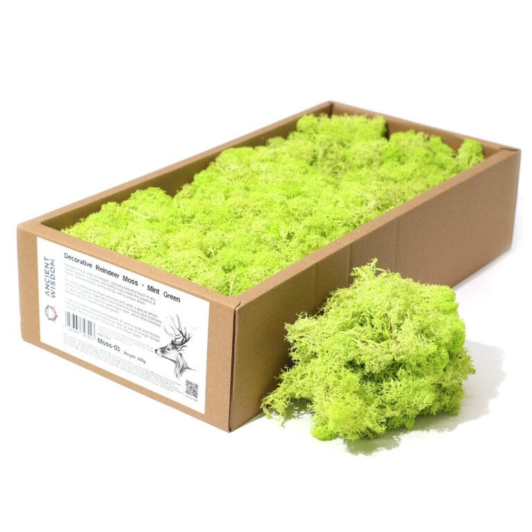 Quality-Decoration-Reindeer-Moss-Mint-Green-635g-Box