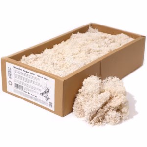 Rensdyrmos - Naturlige Vibrationer - 635g Æske