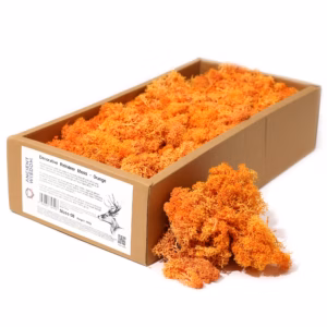 Högkvalitativ Dekorativ Renmossa - Orange - 635g Ask - 635g Box
