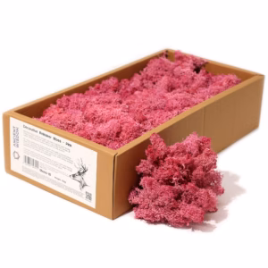 Quality Decoration Reindeer Moss - Pink - 635g Box
