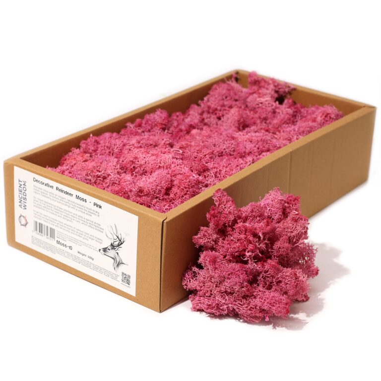 Quality-Decoration-Reindeer-Moss-Pink-635g-Box