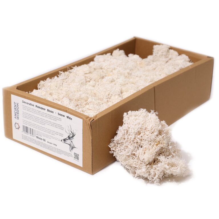 Quality-Decoration-Reindeer-Moss-Snow-White-635g-Box