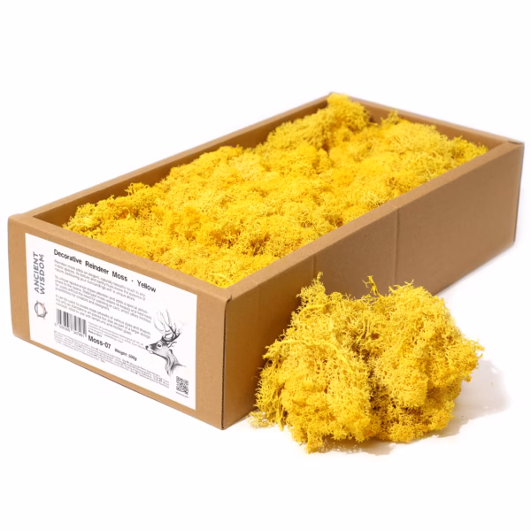 Högkvalitativ Dekorativ Renmossa - Gul - 635g Ask - 635g Box
