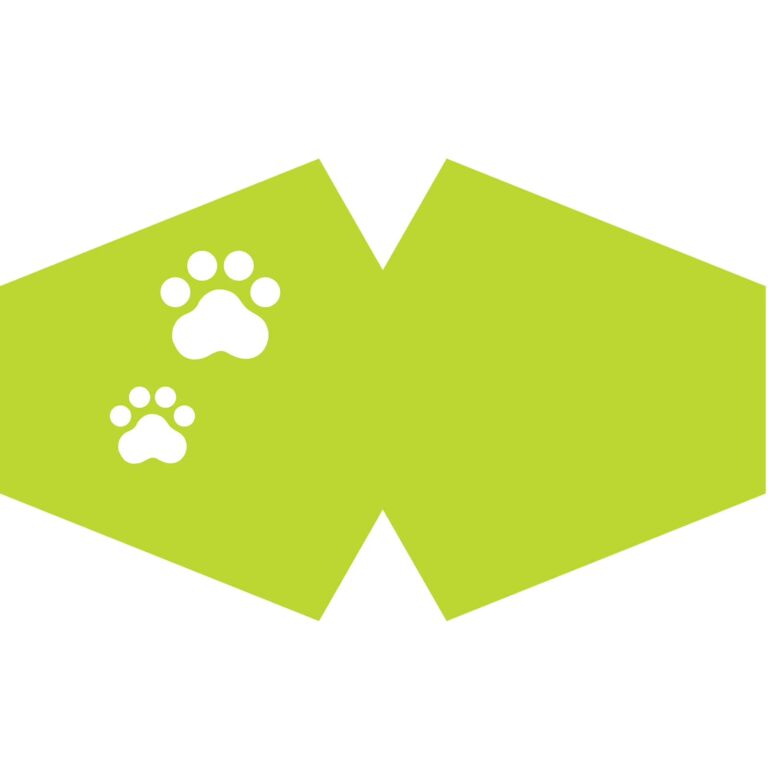 Reusable-Fashion-Face-Covering-Pet-Feet-Adult