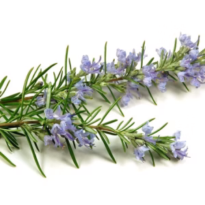 Rosemary - Pink - Eo Seife 115g Approx