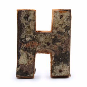 Rustikk Bokstav i Bark - "H" - 7 cm