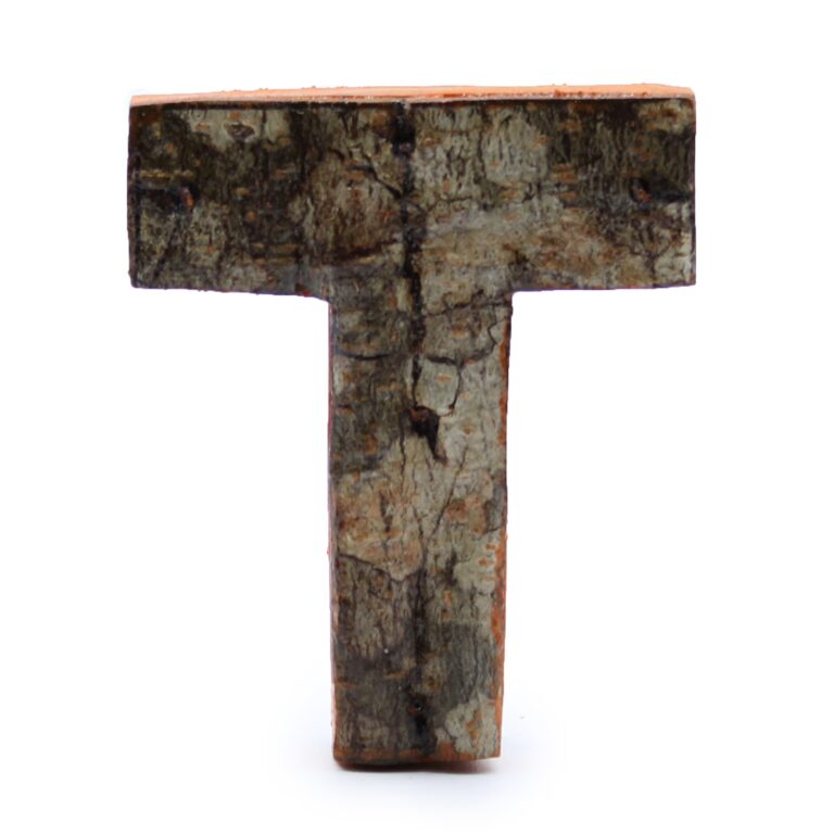 Rustic-Bark-Letter-T-7cm