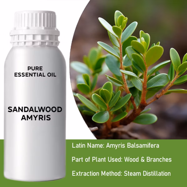 Sandalwood Amayris Pure Essential Oil 500ml