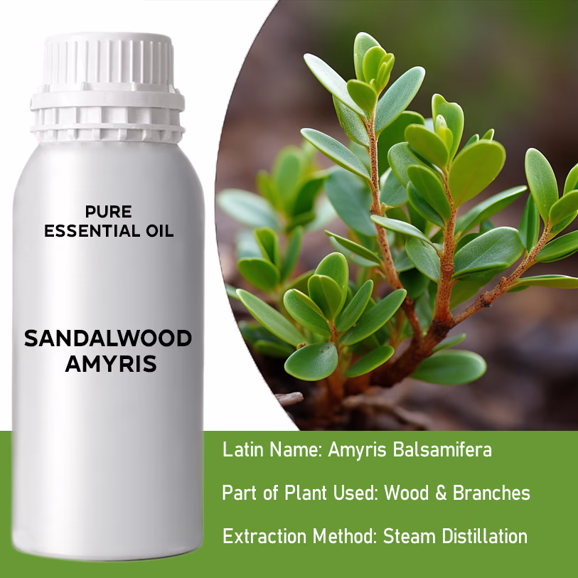 Sandalwood Amayris Pure Essential Oil 500ml