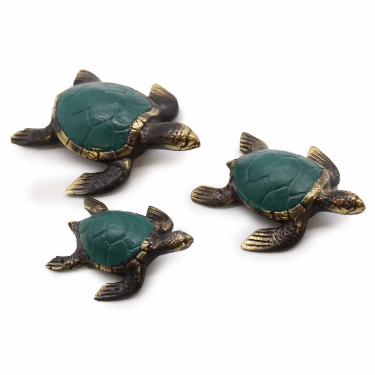 Sea-Turtles-Set-of-3