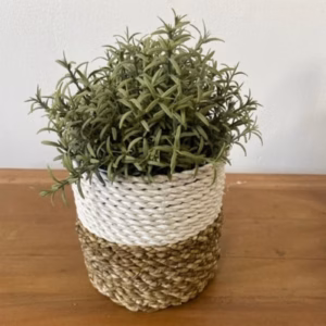 Seagrass Basket Set - Natural White