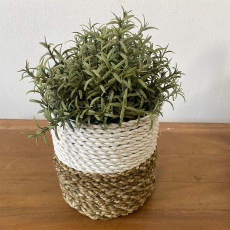 Seagrass-Basket-Set-Natural-White-8