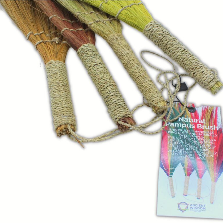Set-4-Pampus-Long-Broom-Natural-colours