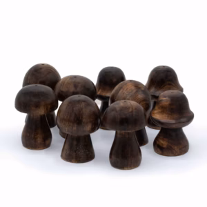 Sæt med 3 Mini Røgelsessvampe (8cm, 7cm, 6,5cm)