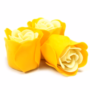 Boîtes de 3 Roses de Savon Boite Coeur - Rose du Printemps