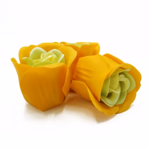 Boîtes de 3 Roses de Savon Boite Coeur - Rose du Printemps