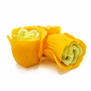 Boîtes de 3 Roses de Savon Boite Coeur - Rose du Printemps