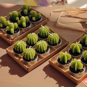 Lot de 6 Bougies Cactus Agave