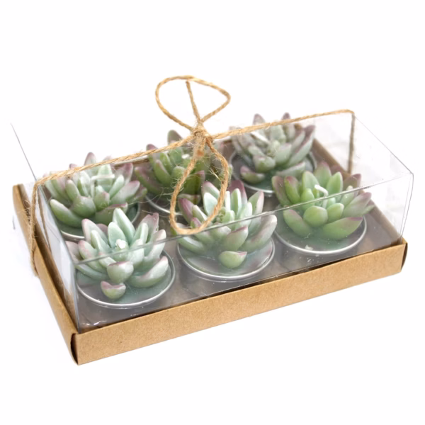 Kaktus - Teelichter Geschenkbox - Agave - 6 Stk.