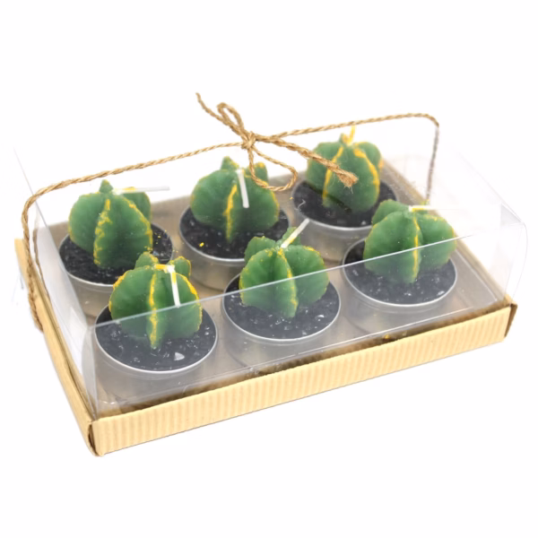 Kaktus - Teelichter Geschenkbox - Mönche - 6 Stk.