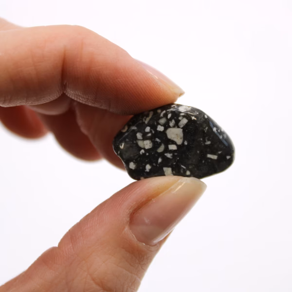 Pequeñas Piedras Africanas - Gallina De Guinea - Imagen 2