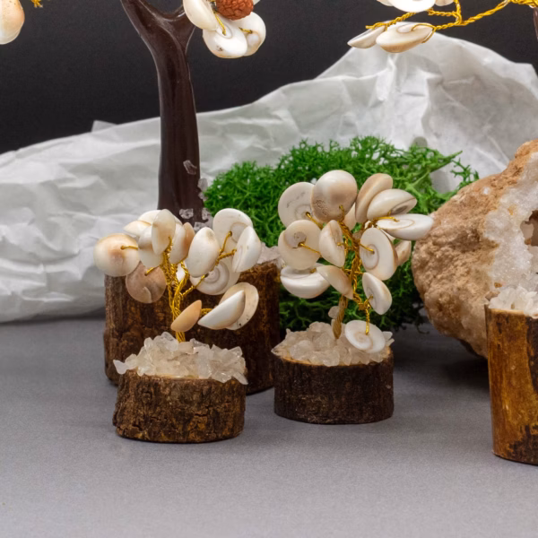 Små Gomati Chakra Circle Stone Trees-(15 Steiner) - Bilde 2