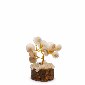 Små Gomati Chakra Circle Stone Trees-(15 Steiner)