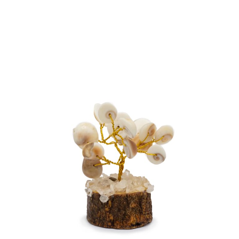 Small-Gomati-Chakra-Circle-Stone-Trees-15-stones