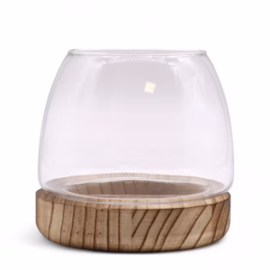 Lite Terarium På Naturlig Tungtre - 13x13 cm
