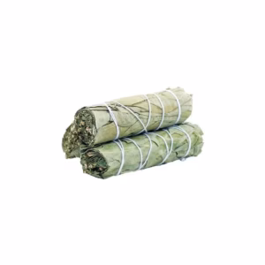 Smudge Stick - Eucalyptussalie - 10cm