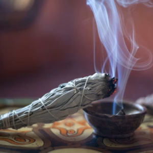 Smudge Stick - Hvid Salvie 22,5cm