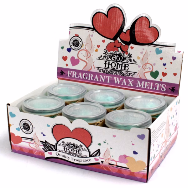Soya Duftvoks Melts Jar - Apple Spice - Bilde 3