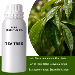 Tea Tree Ren Æterisk Olie 500ml