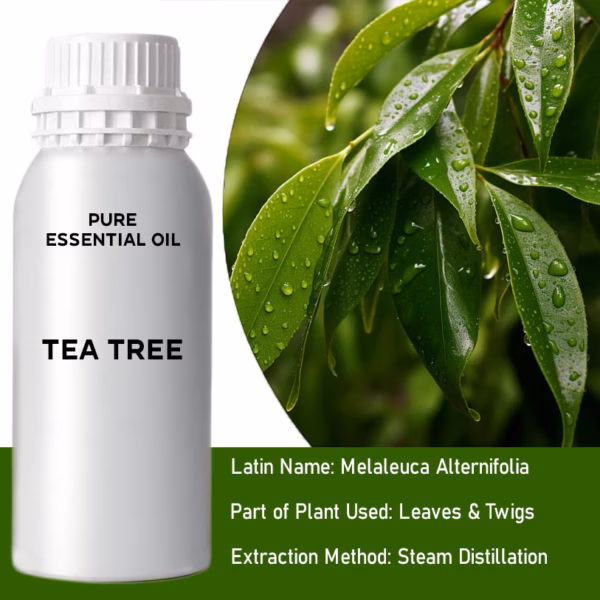 Árbol de Té Puro Aceite Esencial 500ml