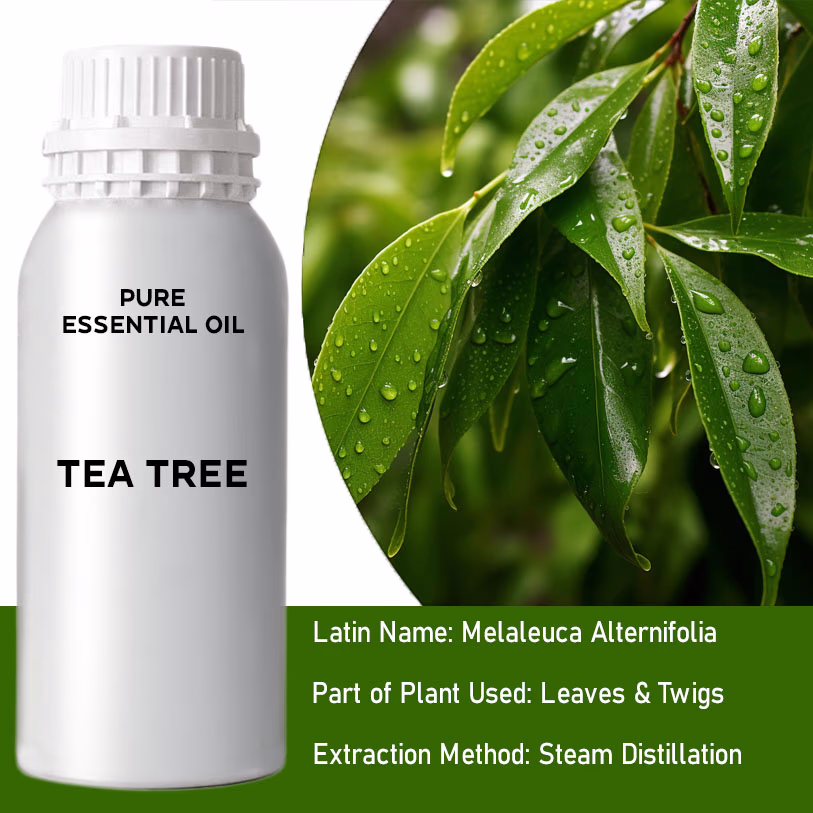 Tea Tree Pure Essential Oil 500ml