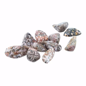 Tumble Stone - Leopard Skin M 24Pcs