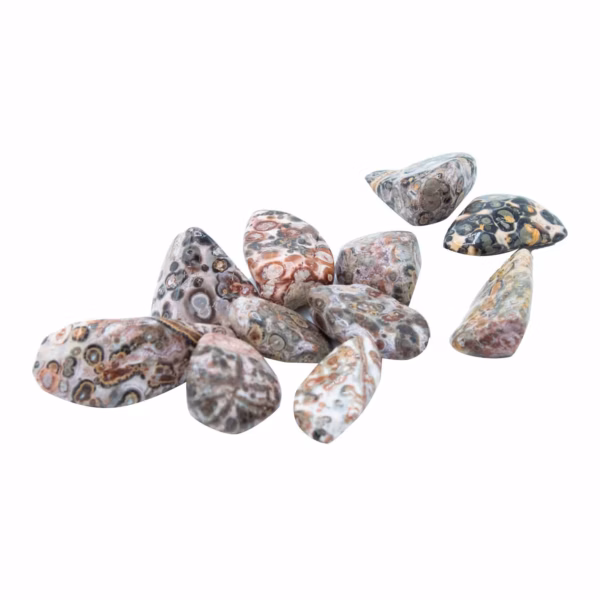 Tumble Stone - Leopard Skin M 24Pcs